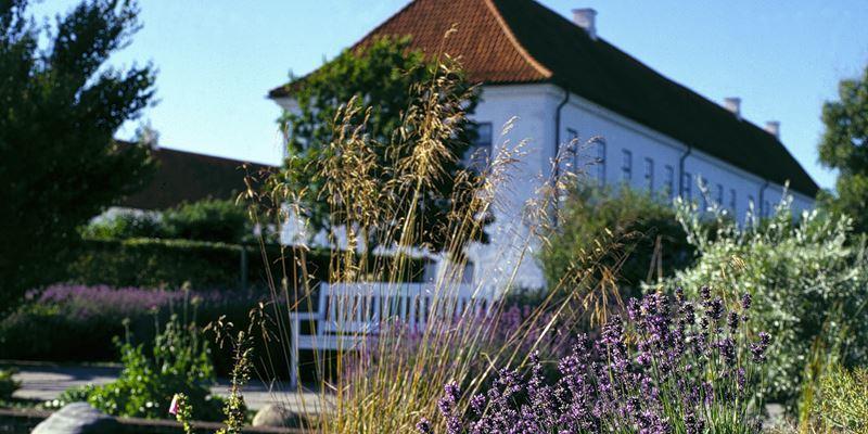 Danhostel Vitskol Kloster Ranum Zewnętrze zdjęcie